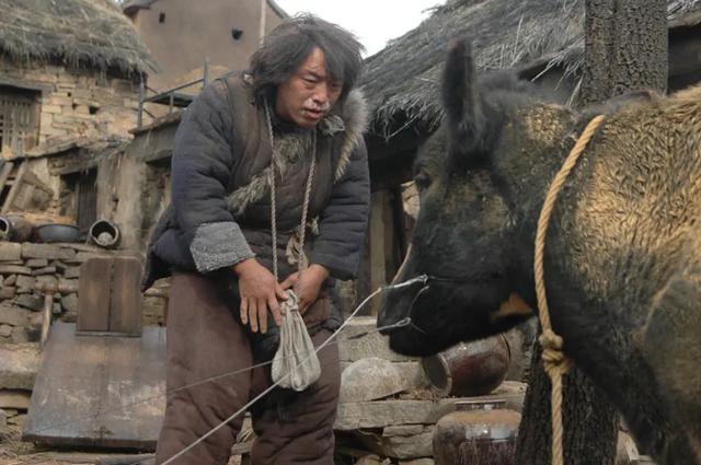 黄渤最新喜剧，与自然美景共赴一场寻找内心平和幽默的旅行