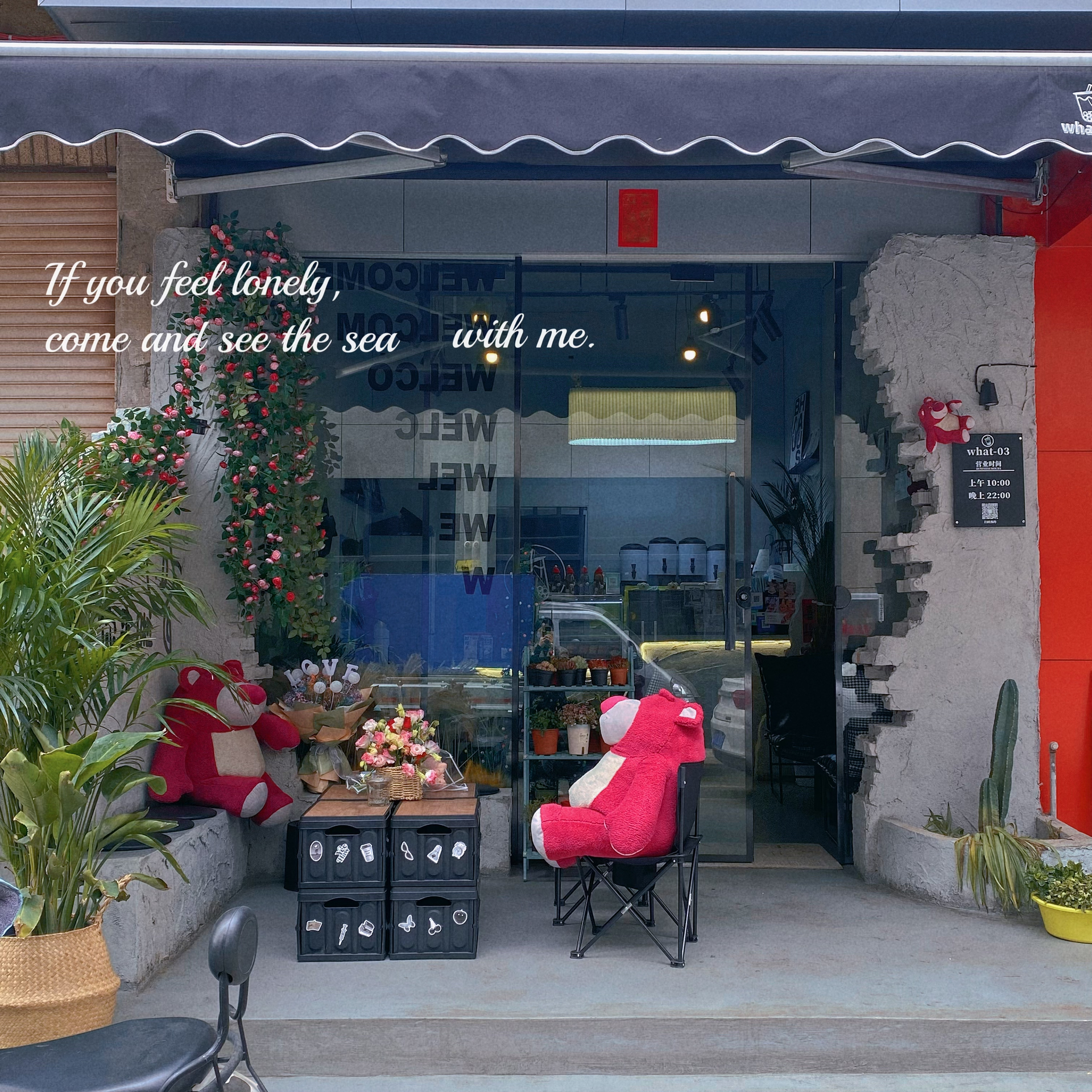限免最新特色小店，小巷中的隐藏宝藏，独特魅力一览