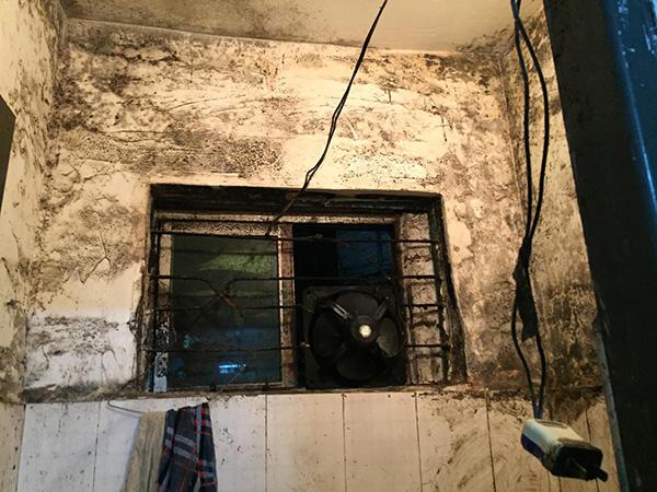广州房价最新动态与巷弄深处的居住价值探索