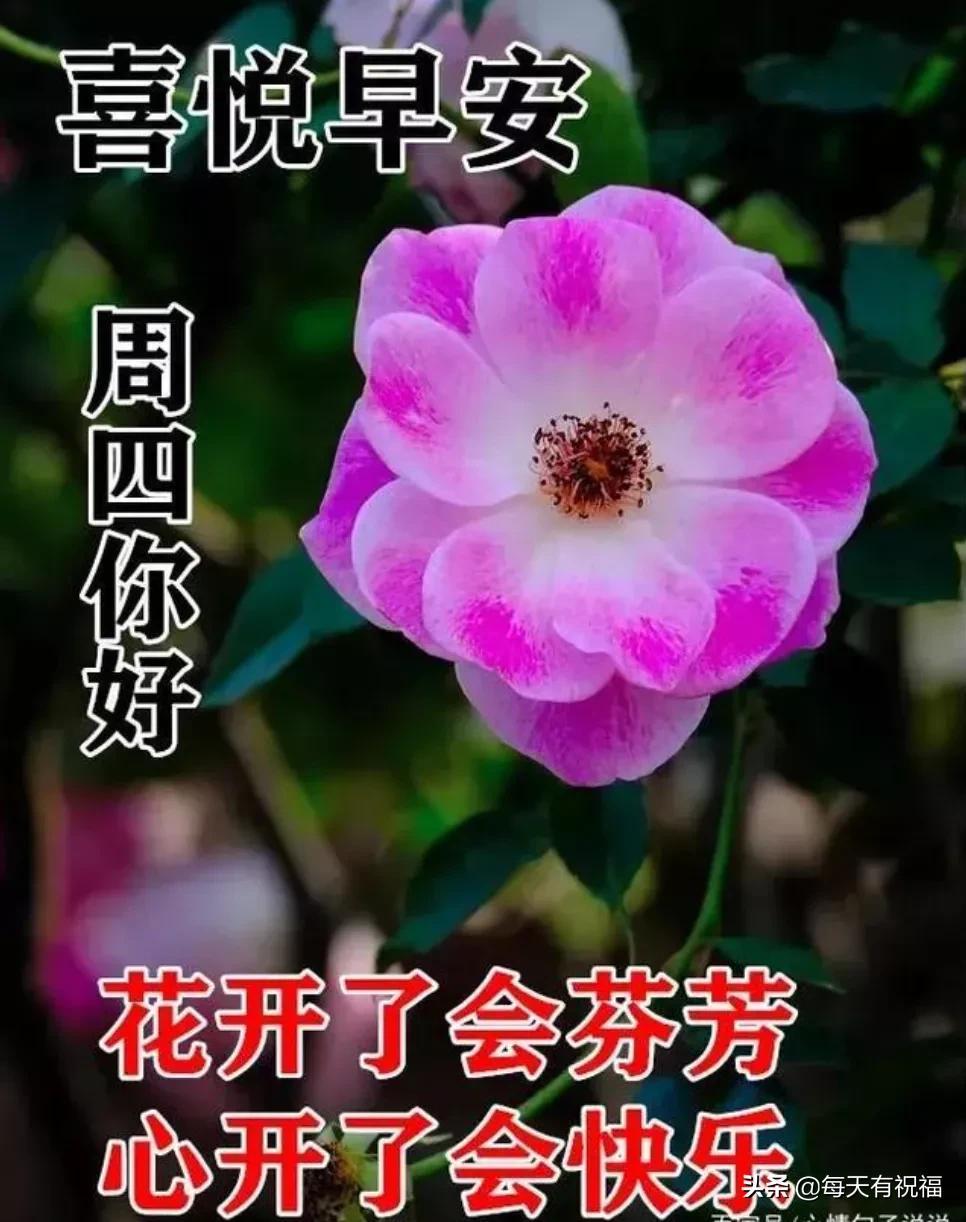 最新铃声下载与探索自然美景之旅，寻找内心平静的声音