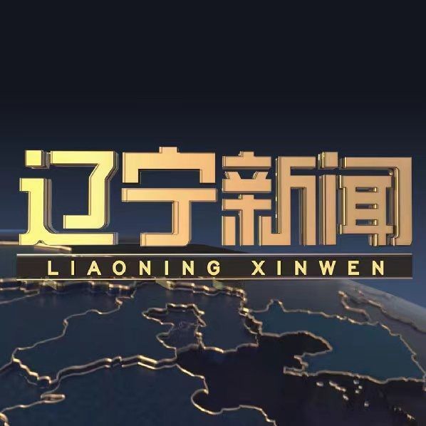 辽宁最新新闻获取与阅读指南，适合初学者与进阶用户的必备指南