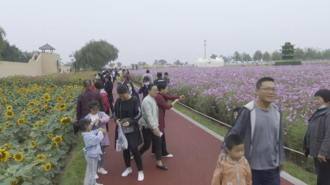 苹果平板最新版，学习变革的无限潜能