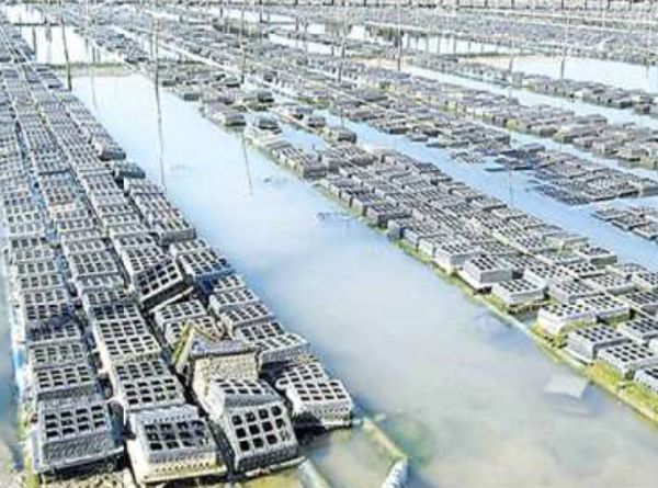 缅甸最新消息新闻，高科技产品引领时代潮流，科技改变生活体验
