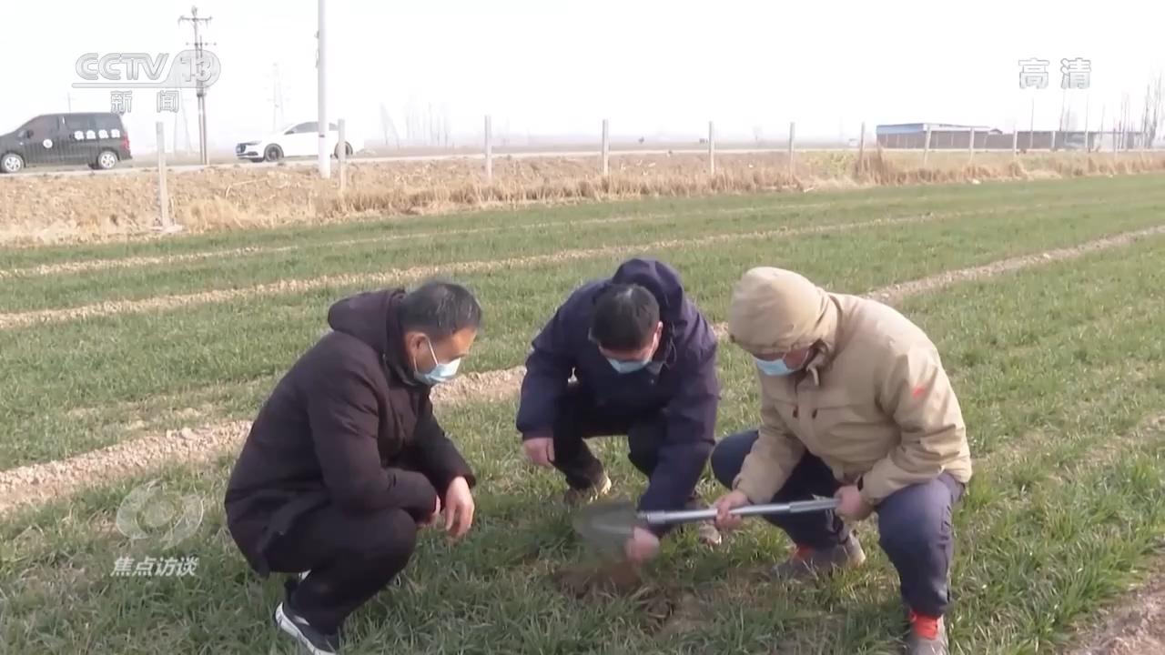 最新焦点访谈，热门话题与前沿科技的探讨