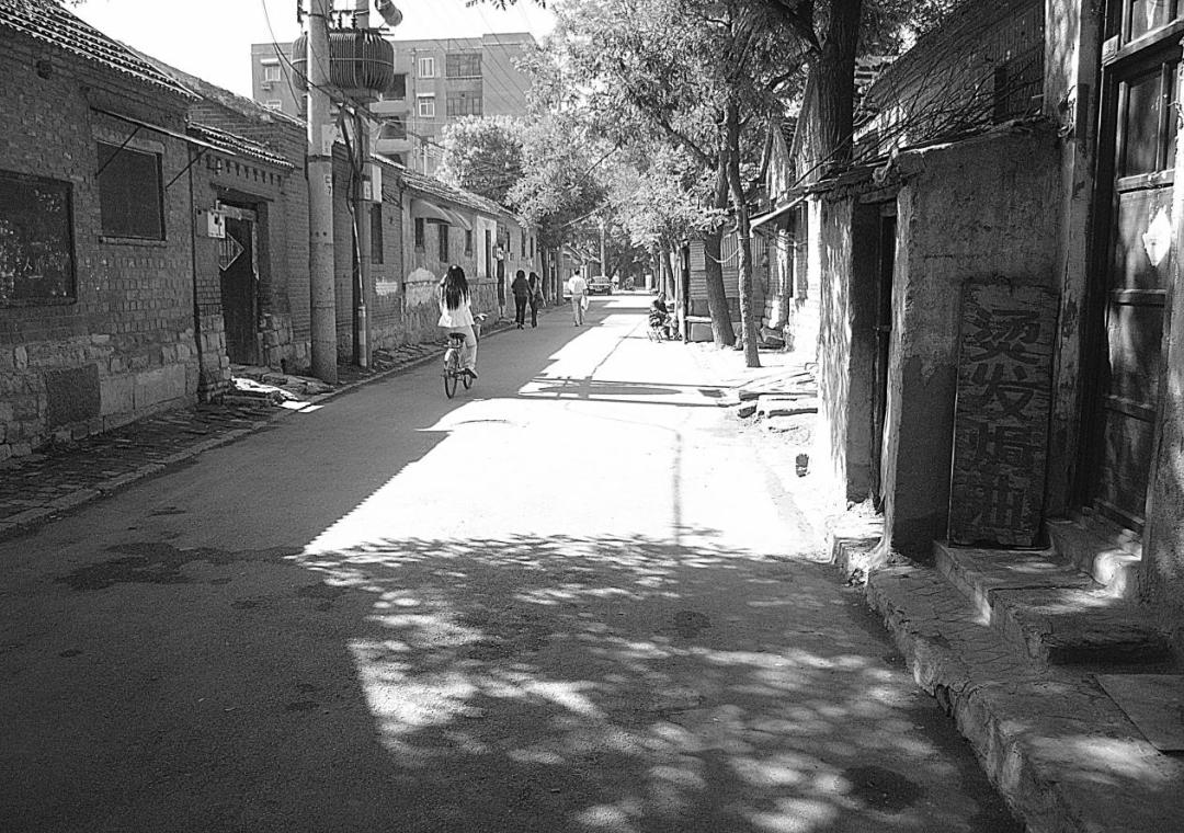 最新歌曲简谱探秘，小巷深处的音乐宝藏