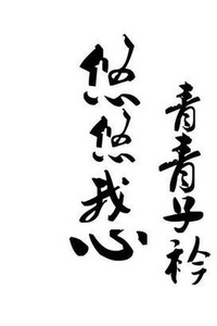 苏青青薄子衿，情感与命运的最新章节交织