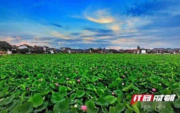 咸阳人事任免更新，自然美景探索之旅的序幕