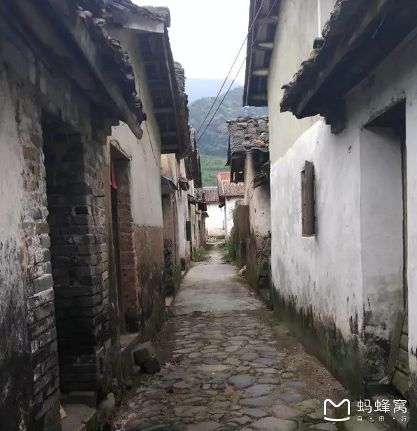 撒德最新动态，小巷深处的独特风味揭秘