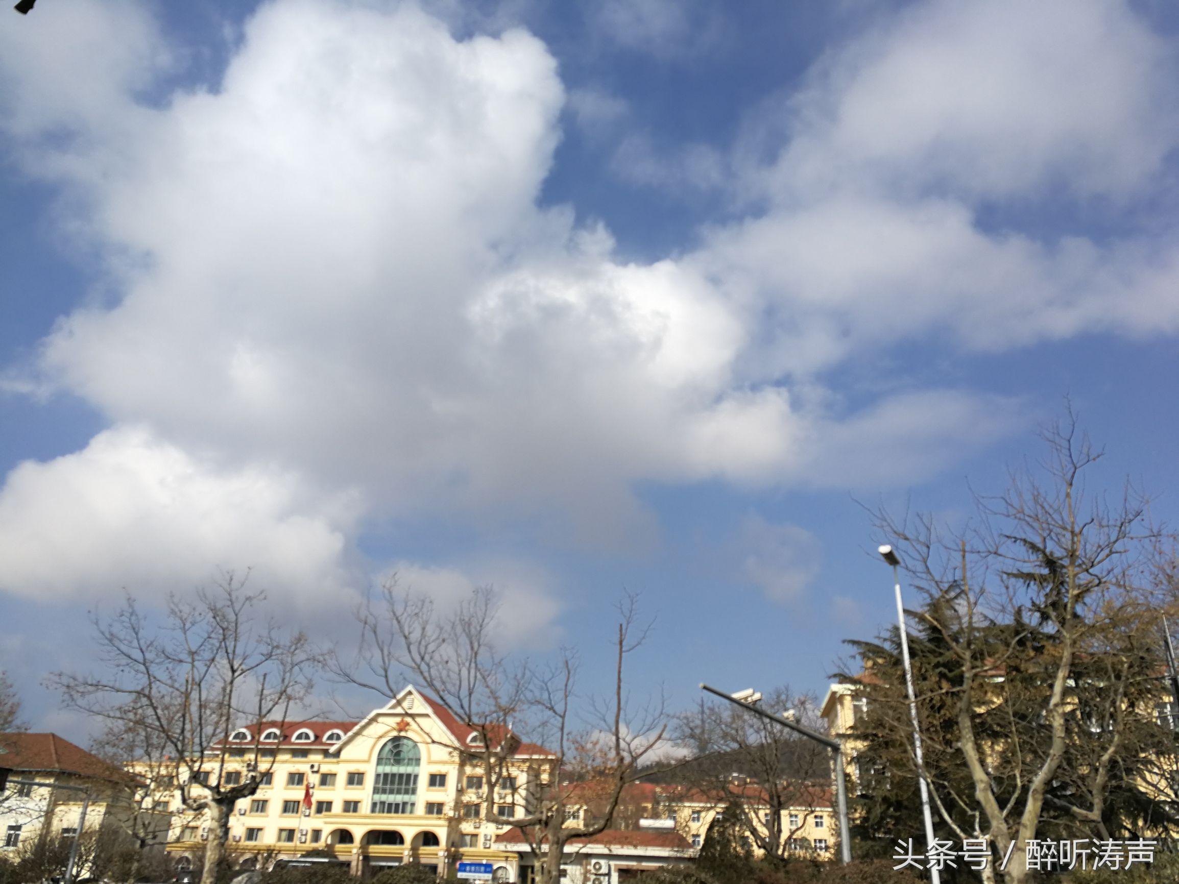 第443页